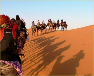 Camel Trek and night in camp