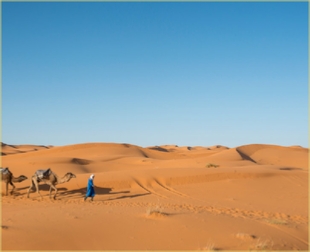 4 day Sahara desert tour from Casablanca