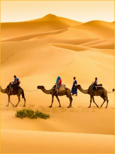 Tours from Marrakech