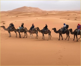 Camel Trek and night in camp