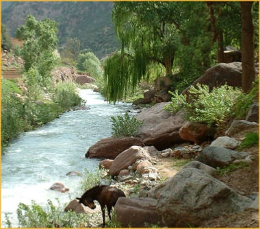 Atlas mountains excursion to Ourika valley