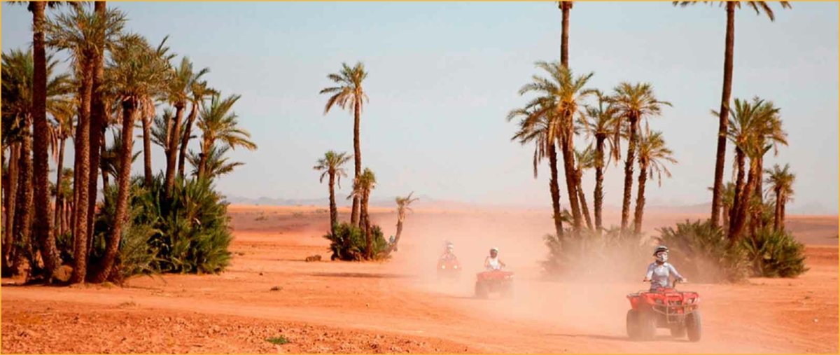 Quad and Buggy in Sahara